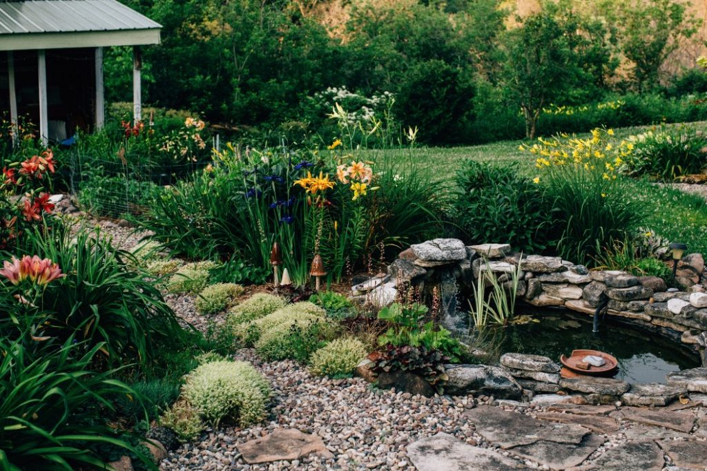 How do I choose a landscaping plant